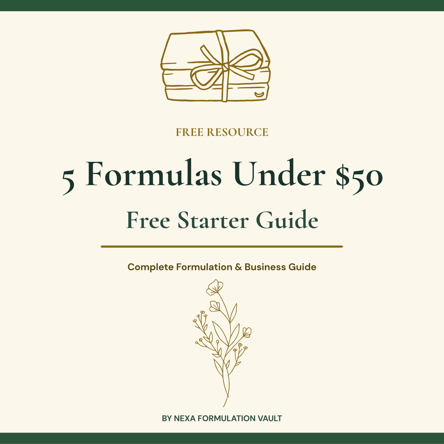 5 Formulas Under $50 - Free Starter Guide Cover