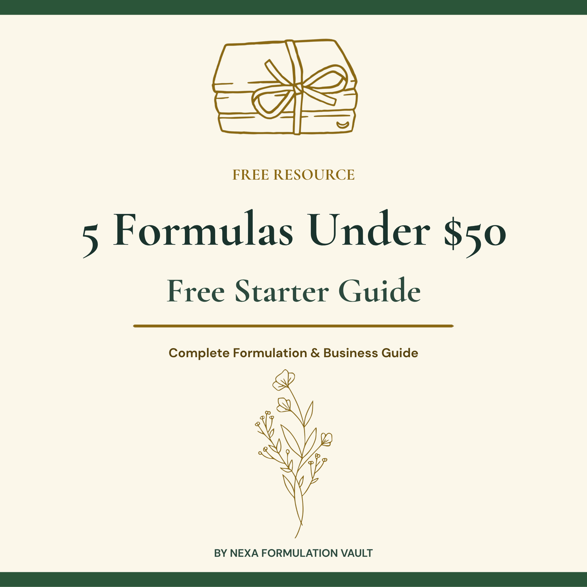 5 Formulas Under $50 - Free Starter Guide Cover