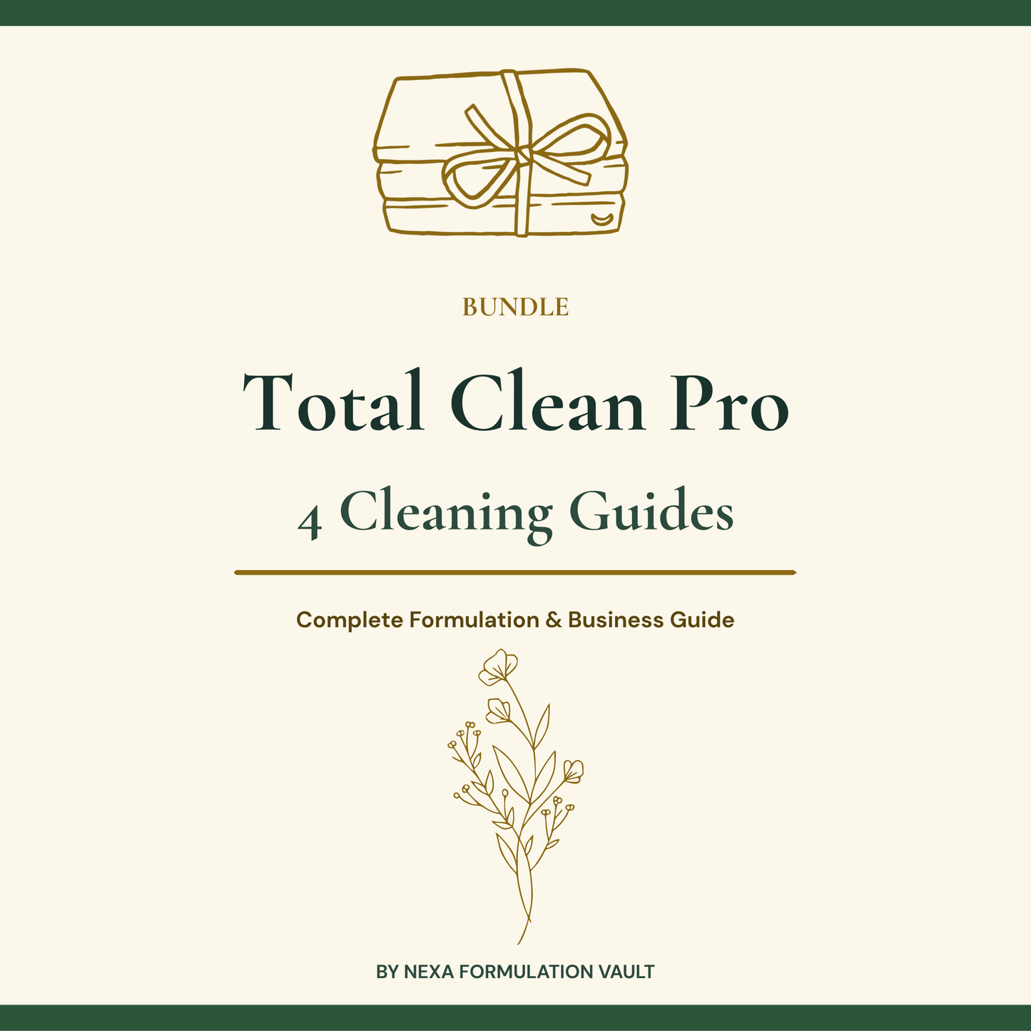 Total Clean Pro — 4 Cleaning Guides Bundle